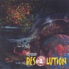 ResOlution