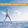 Walking Meditation album lyrics, reviews, download