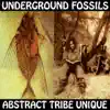 Underground Fossils album lyrics, reviews, download