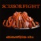 1893 - Scissorfight lyrics