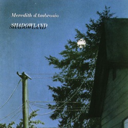 Meredith d'Ambrosio - I Should Care / The Sheepcounter's Lament