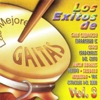 Las Mejores Gaitas Vol. 3, 2005