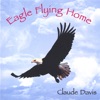 Eagle Flying Home