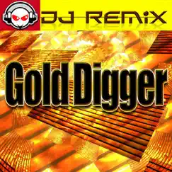 Gold Digger - EP by DJ Remix album reviews, ratings, credits