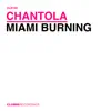 Stream & download Miami Burning - Single