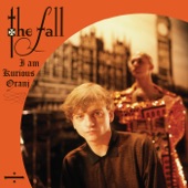 The Fall - Kurious Oranj