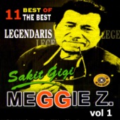 Best of the Best Meggie Z, Vol. 1 artwork