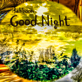 Good Night - EP - Bahboon