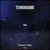 Terrordome - Single album cover