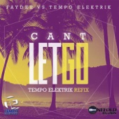 Cant Let Go (Radio Edit) artwork