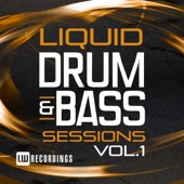 Liquid Drum & Bass Sessions, Vol. 1 artwork