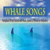 Whale Songs: Humpback Whale Sounds With Music, Sounds of Whales for Relaxation album lyrics, reviews, download
