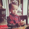 Aiden Falls Rarities (2008-2014) artwork