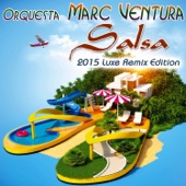 Vivir Mi Vida (Salsa Remix 2015) artwork