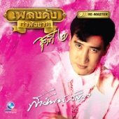 เพลงดัง สายัณห์ สัญญา, Vol. 2 artwork