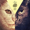 Kitties on Remix, 2012