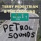 I'm Not Sure If Dane Hiser Drives a Car Every Day - Terry Pedestrian & the Crossing lyrics