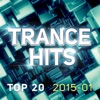Trance Hits Top 20 - 2015-01