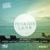 Promised Land (The Remixes) album lyrics, reviews, download