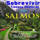 Sobrevivir Tiempos Obscuros Con los Salmos artwork