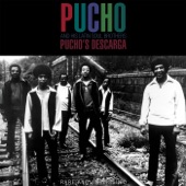 Pucho's Descarga artwork