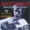 Recital Flamenco. 12 de Sus Toques Originales