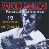 Recital Flamenco. 12 de Sus Toques Originales artwork