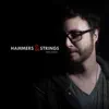 Hammers & Strings - Single album lyrics, reviews, download