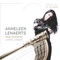 Anneleen Lenaerts harp Brussels Philharmonic Michel Tabachnik - Concierto de Aranjuez: 2.Adagio