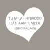 Tu Mila (feat. Aamir Meer) - Single album lyrics, reviews, download