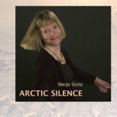 Arctic silence artwork