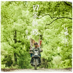 劉德華 - 回家的路