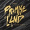 Promiseland (Stint Remix) - [SEBELL] lyrics