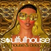 Soulful House - Dirty House & Deep Chill, 2014