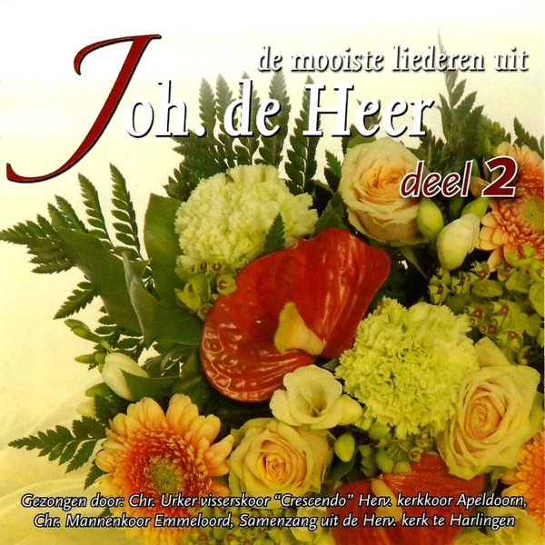 Download Verschillende Artiesten - De Mooiste Liederen Uit Joh. De Heer ...