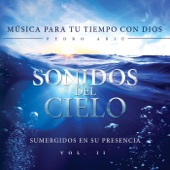 Sonidos del Cielo, Vol. 2 artwork
