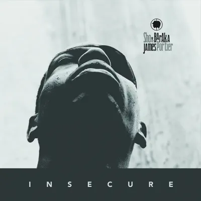 Insecure (Maybe) - Single - Sho Baraka