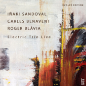 Electric Trio Live (feat. Carles Benavent & Roger Blavia) - Iñaki Sandoval