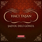 Şad'ol Deli Gönül artwork