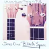 Blank Space (Ukulele/Guitar Cover) - Single album lyrics, reviews, download
