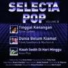 Selecta Pop, Vol. 3