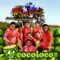 Cocoloco - Los Siete Latinos lyrics