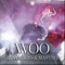 Woo (Radio Edit) - Gil Sanders & Mastro J lyrics