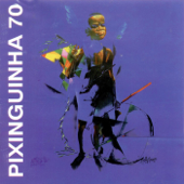 Pixinguinha 70 - Various Artists
