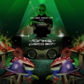 Monkey Disco Boy Project artwork