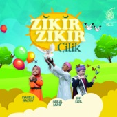 Nur Zikrullah, Vol. 11: Zikir-Zikir Cilik artwork