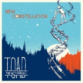New Constellation artwork