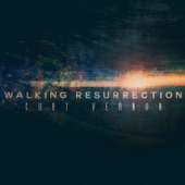Walking Resurrection artwork