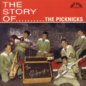 The Story Of - The Picknicks