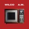It's Just That Simple - Wilco lyrics